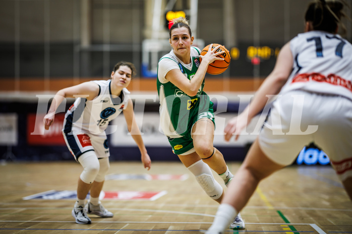 Basketball, Win2Day Basketball Damen Superliga 2023/24, Grunddurchgang 8.Runde, Vienna Timberwolves, UBI Graz, Lenny Jacimovic (27)