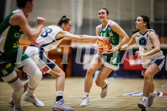 Basketball, Win2Day Basketball Damen Superliga 2023/24, Grunddurchgang 8.Runde, Vienna Timberwolves, UBI Graz, Jördis Reisner (14)