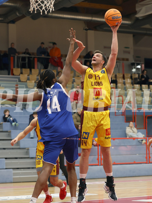 Basketball Zweite Liga 2024/25, Grunddurchgang 1.Runde Traiskirchen Lions NextGen vs. Kufstein Towers


