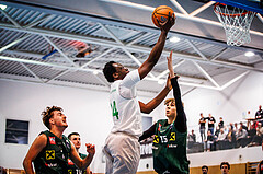 Basketball, Basketball Zweite Liga 2024/25, Grunddurchgang 7.Runde, UDW Alligators, Dornbirn Lions, Kingsley Fobi (14)