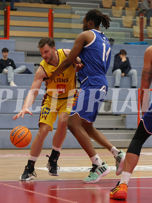 Basketball Zweite Liga 2024/25, Grunddurchgang 1.Runde Traiskirchen Lions NextGen vs. Kufstein Towers


