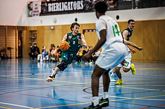 Basketball, Basketball Zweite Liga 2024/25, Grunddurchgang 7.Runde, UDW Alligators, Dornbirn Lions, Pauls Miglinieks (2)