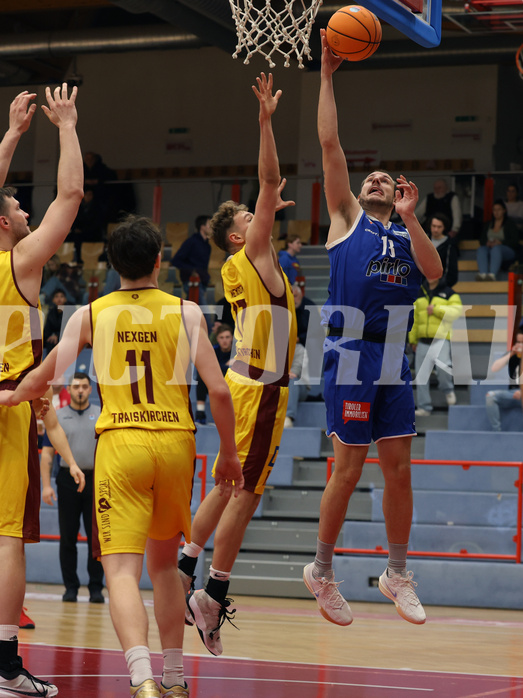 Basketball Zweite Liga 2024/25, Grunddurchgang 1.Runde Traiskirchen Lions NextGen vs. Kufstein Towers


