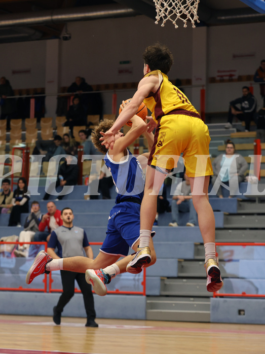 Basketball Zweite Liga 2024/25, Grunddurchgang 1.Runde Traiskirchen Lions NextGen vs. Kufstein Towers


