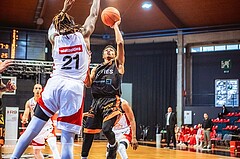 Basketball, Win2Day Superliga 2022/23, Grunddurchgang 3.Runde, BC GGMT Vienna, CITIES Panthers Fürstenfeld, Pavle Milenkovic (21), Steve Robinson Jr. (6)