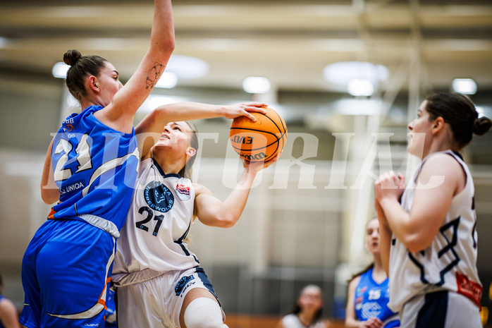 Basketball, Win2Day Basketball Damen Superliga 2023/24, Grunddurchgang 10.Runde, Vienna Timberwolves, DBB LZ OÖ, Petra Pammer (21)