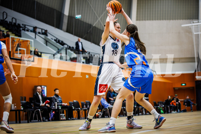 Basketball, Win2Day Basketball Damen Superliga 2023/24, Grunddurchgang 10.Runde, Vienna Timberwolves, DBB LZ OÖ, Bianca-Alexandra Rantz (18)