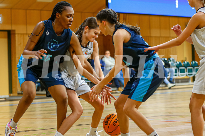 23.11.2024 Österreichischer Basketballverband 2024/25, SLWU14, Basket Flames UNION vs. Vienna Timberwolves