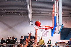 Basketball, Austria Cup 2022/23, Achtelfinale, Union Deutsch Wagram Alligators, Vienna D.C. Timberwolves, 