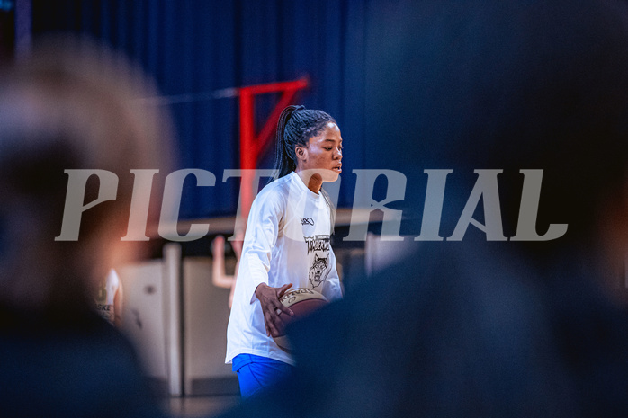 Basketball Basketball Damen Superliga 2021/22, Grunddurchgang 11.Runde Basket Flames vs. Vienna D.C. Timberwolves
