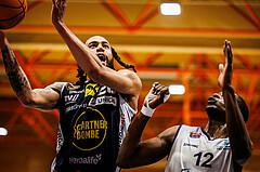 Basketball, win2day Basketball Superliga 2024/25, Grunddurchgang Runde 18, BBC Nord Dragonz, Gmunden Swans, Joseph Reece (20)