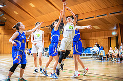 Basketball Basketball Damen Superliga 2021/22, Grunddurchgang 13.Runde Basket Flames vs. DBB LZ Oberösterreich
