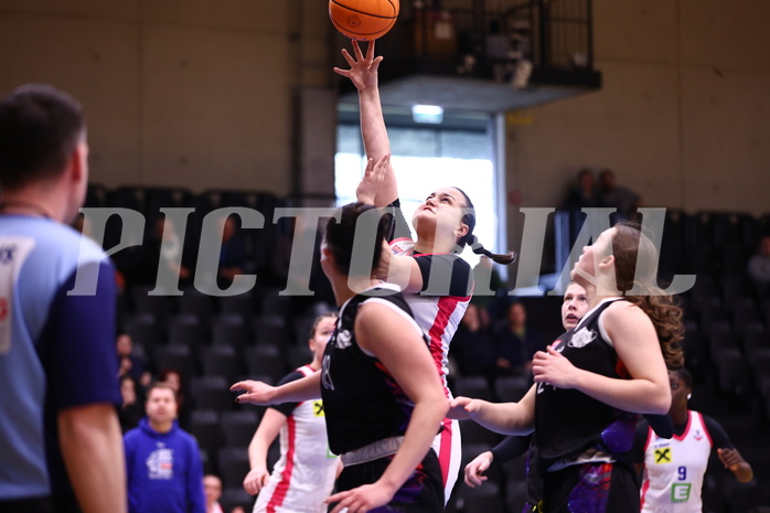 02.03.2025, Graz, Raiffeisen Sportpark, Basketball Damen Superliga 2024/25, Grunddurchgang, 14.Runde, UBSC-DBBC Graz - Vienna United,  