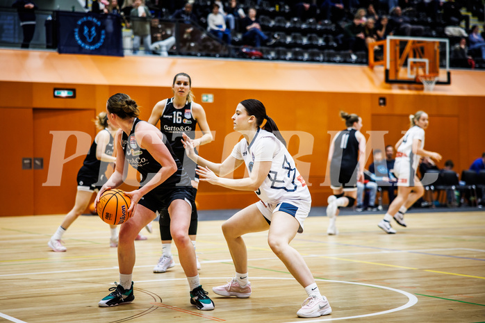 Basketball, Win2Day Basketball Damen Superliga 2024/25, Grunddurchgang 14.Runde, Vienna Timberwolves, Basket Flames, Stella Popp (4), Lara Binder (9)