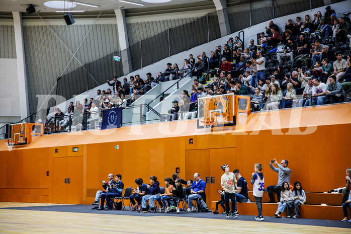 Basketball, Basketball Zweite Liga 2024/25, Grunddurchgang 21.Runde, Vienna Timberwolves, Kufstein Towers, Zuschauer