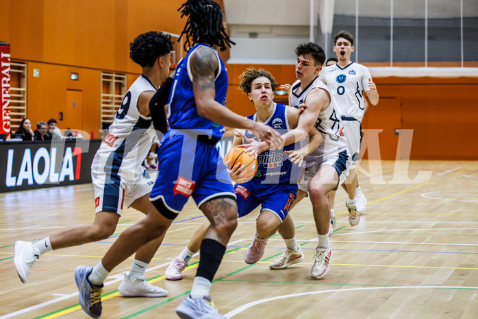 Basketball, Basketball Zweite Liga 2024/25, Grunddurchgang 21.Runde, Vienna Timberwolves, Kufstein Towers, Felix Erath (55)