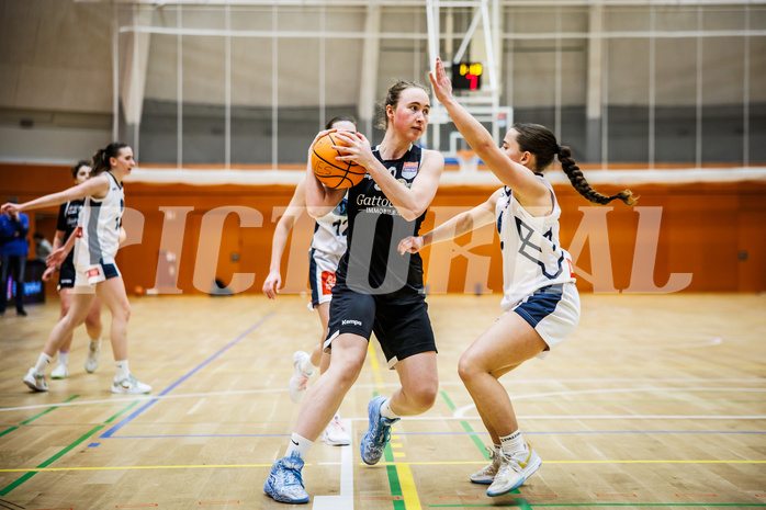 Basketball, Win2Day Basketball Damen Superliga 2024/25, Grunddurchgang 14.Runde, Vienna Timberwolves, Basket Flames, Yevheniia Renhevych (33)