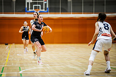 Basketball, Win2Day Basketball Damen Superliga 2024/25, Grunddurchgang 14.Runde, Vienna Timberwolves, Basket Flames, Franka Rödhammer (5)