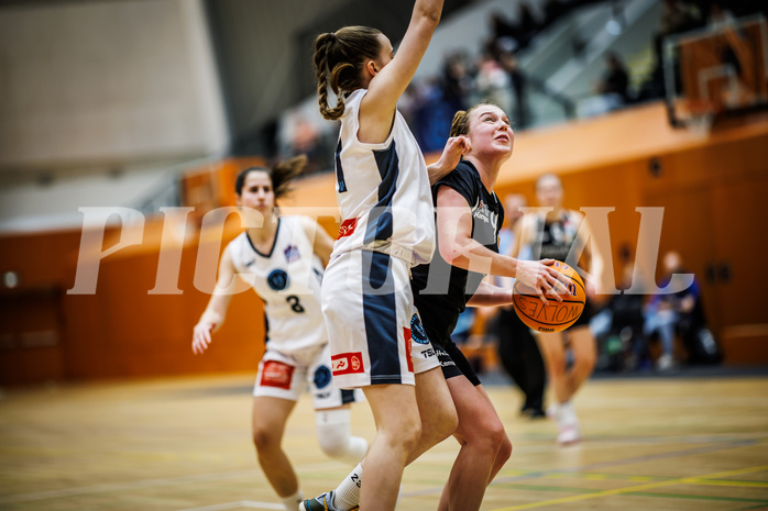 Basketball, Win2Day Basketball Damen Superliga 2024/25, Grunddurchgang 14.Runde, Vienna Timberwolves, Basket Flames, Franka Rödhammer (5)