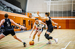 Basketball, Win2Day Basketball Damen Superliga 2024/25, Grunddurchgang 14.Runde, Vienna Timberwolves, Basket Flames, Sophie Kunert (16)