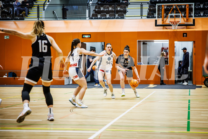 Basketball, Win2Day Basketball Damen Superliga 2024/25, Grunddurchgang 14.Runde, Vienna Timberwolves, Basket Flames, Valentina Mraulak (21)