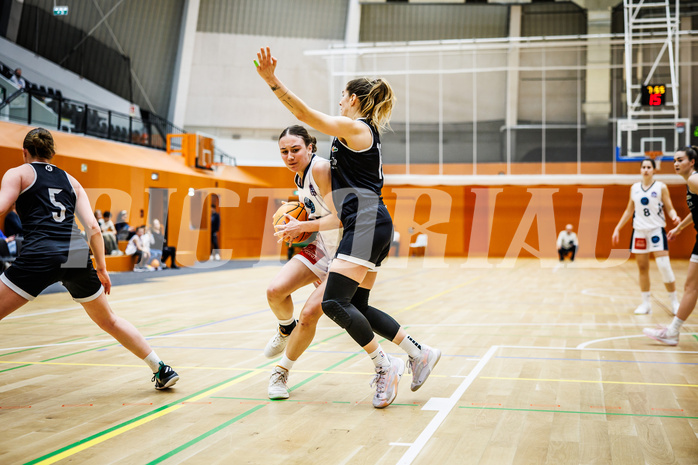 Basketball, Win2Day Basketball Damen Superliga 2024/25, Grunddurchgang 14.Runde, Vienna Timberwolves, Basket Flames, Sophie Kunert (16)