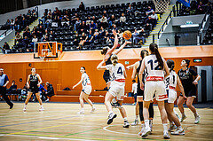 Basketball, Win2Day Basketball Damen Superliga 2024/25, Grunddurchgang 14.Runde, Vienna Timberwolves, Basket Flames, Franka Rödhammer (5)