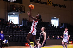 02.03.2025, Graz, Raiffeisen Sportpark, Basketball Damen Superliga 2024/25, Grunddurchgang, 14.Runde, UBSC-DBBC Graz - Vienna United,  
