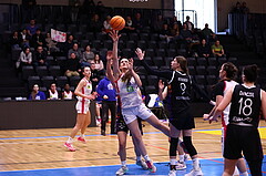02.03.2025, Graz, Raiffeisen Sportpark, Basketball Damen Superliga 2024/25, Grunddurchgang, 14.Runde, UBSC-DBBC Graz - Vienna United,  