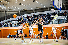 Basketball, Win2Day Basketball Damen Superliga 2024/25, Grunddurchgang 14.Runde, Vienna Timberwolves, Basket Flames, Clara Kronfuß (16)