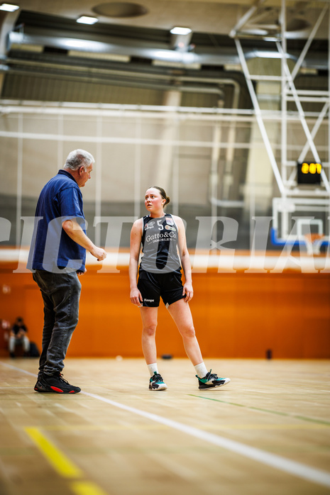 Basketball, Win2Day Basketball Damen Superliga 2024/25, Grunddurchgang 14.Runde, Vienna Timberwolves, Basket Flames, Franka Rödhammer (5)