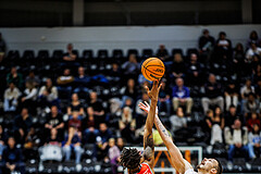Basketball, Win2Day Superliga 2023/24, Grunddurchgang 5.Runde, Vienna Timberwolves, Traiskirchen Lions, Jaquan Lawrence (40), Ziga Fifolt (13)