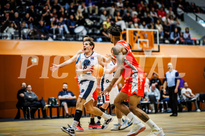Basketball, Win2Day Superliga 2023/24, Grunddurchgang 5.Runde, Vienna Timberwolves, Traiskirchen Lions, Elias Wlasak (8)