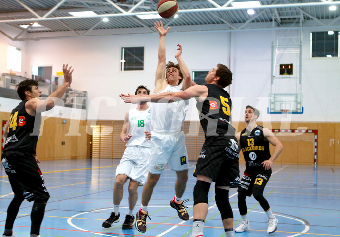 Basketball Zweite Liga 2020/21, Grunddurchgang 17.Runde Union Deutsch Wagram Aligators vs. Jennersdorf Blackbirds


