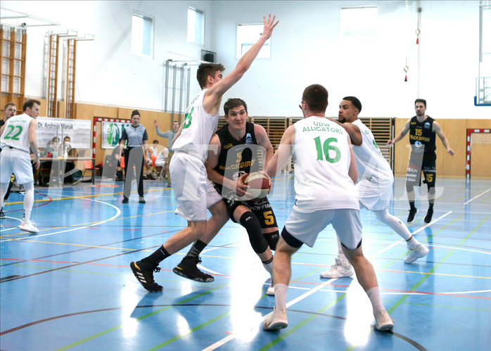 Basketball Zweite Liga 2020/21, Grunddurchgang 17.Runde Union Deutsch Wagram Aligators vs. Jennersdorf Blackbirds


