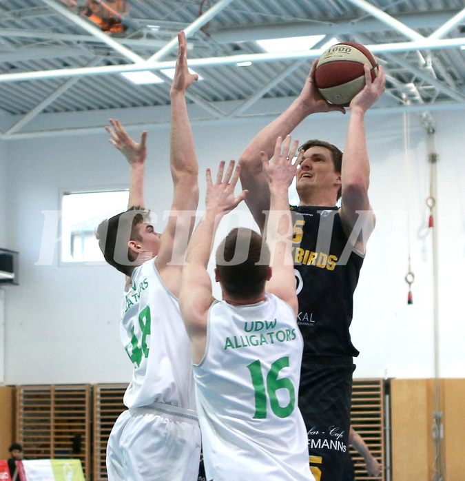 Basketball Zweite Liga 2020/21, Grunddurchgang 17.Runde Union Deutsch Wagram Aligators vs. Jennersdorf Blackbirds



