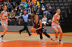 Basketball Damen Superliga 2023/24, Grunddurchgang Spiel 5 BK Duchess Klosterneuburg vs. Vienna United


