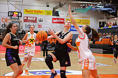 Basketball Damen Superliga 2023/24, Grunddurchgang Spiel 5 BK Duchess Klosterneuburg vs. Vienna United


