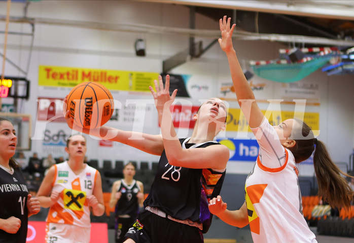 Basketball Damen Superliga 2023/24, Grunddurchgang Spiel 5 BK Duchess Klosterneuburg vs. Vienna United


