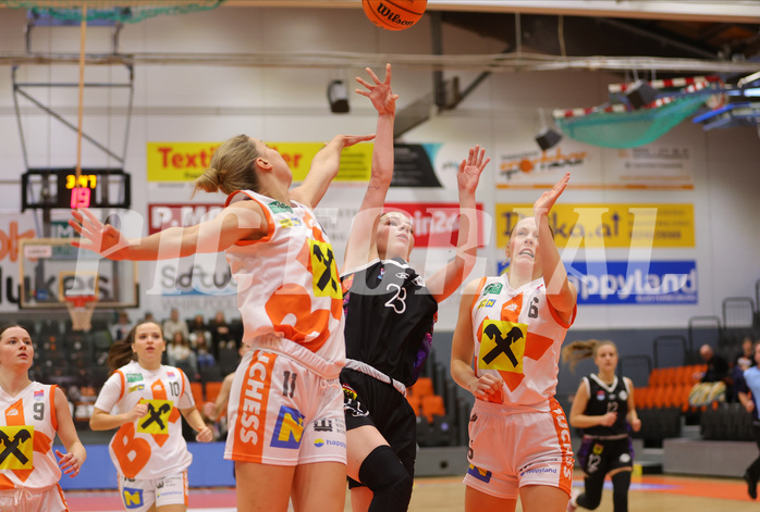 Basketball Damen Superliga 2023/24, Grunddurchgang Spiel 5 BK Duchess Klosterneuburg vs. Vienna United


