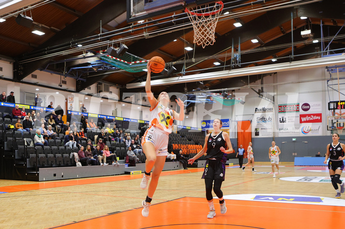 Basketball Damen Superliga 2023/24, Grunddurchgang Spiel 5 BK Duchess Klosterneuburg vs. Vienna United


