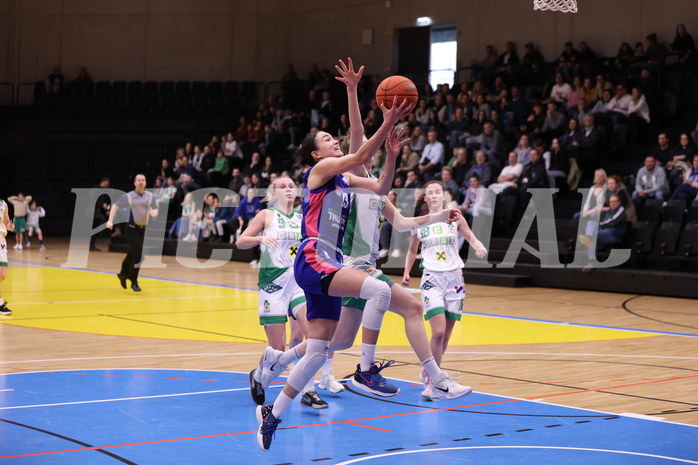 05.03.2023, Graz, Raiffeisen Sportpark, Basketball Damen Superliga 2022/23, Semifinale Spiel 1, UBI Holding Graz vs. UBSC-DBBC Graz,  
