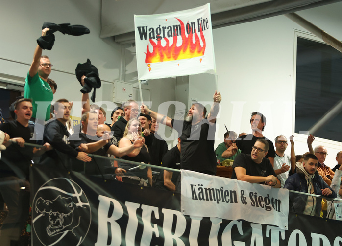 Basketball Zweite Liga 2024/25, Grunddurchgang 9.Runde Union Deutsch Wagram Aligators vs. Mattersburg Rocks


