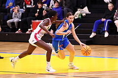 24.11.2024, Graz, Raiffeisen Sportpark, Basketball Damen Superliga 2024/25, Grunddurchgang, 7.Runde, UBSC-DBBC Graz - DBB Wels,  
