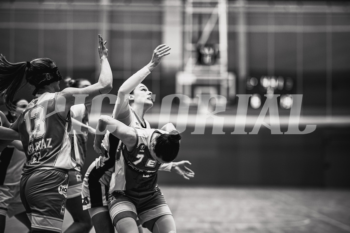 Basketball, Win2Day Basketball Damen Superliga 2024/25, Grunddurchgang 7.Runde, Vienna Timberwolves, UBI Graz, Simone Sill (13), Lea Feitl (33)