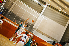 Basketball, Basketball Zweite Liga 2024/25, Grunddurchgang 12.Runde, Vienna Timberwolves, Dornbirn Lions, Davids Grinbergs (11), Vincent Balau (6)