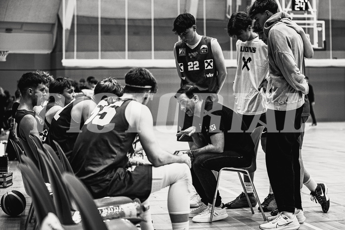Basketball, Basketball Zweite Liga 2024/25, Grunddurchgang 12.Runde, Vienna Timberwolves, Dornbirn Lions, Kostas Papavasileiou (Head Coach)