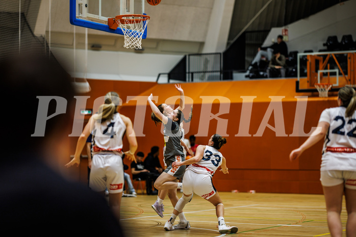 Basketball, Win2Day Basketball Damen Superliga 2024/25, Grunddurchgang 9.Runde, Vienna Timberwolves, Klosterneuburg Duchess, Liz Irthum (8)