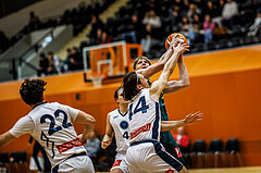 Basketball, Basketball Zweite Liga 2024/25, Grunddurchgang 12.Runde, Vienna Timberwolves, Dornbirn Lions, Davids Grinbergs (11)