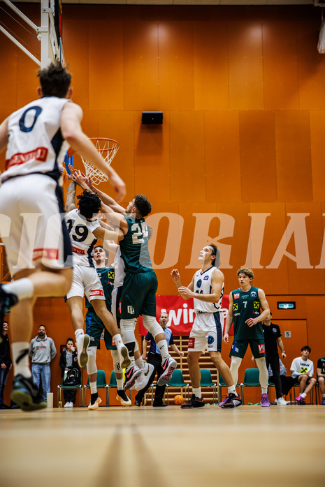 Basketball, Basketball Zweite Liga 2024/25, Grunddurchgang 12.Runde, Vienna Timberwolves, Dornbirn Lions, 